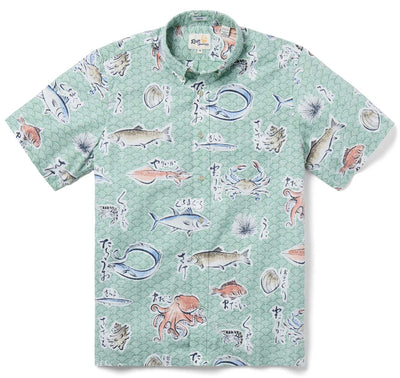 Pacific Catch - Granite Green